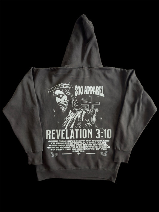 Revelation 310