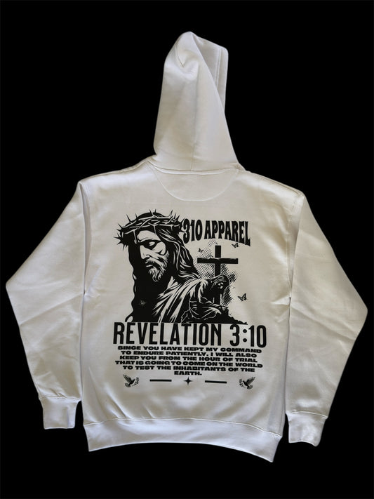 Revelation 310
