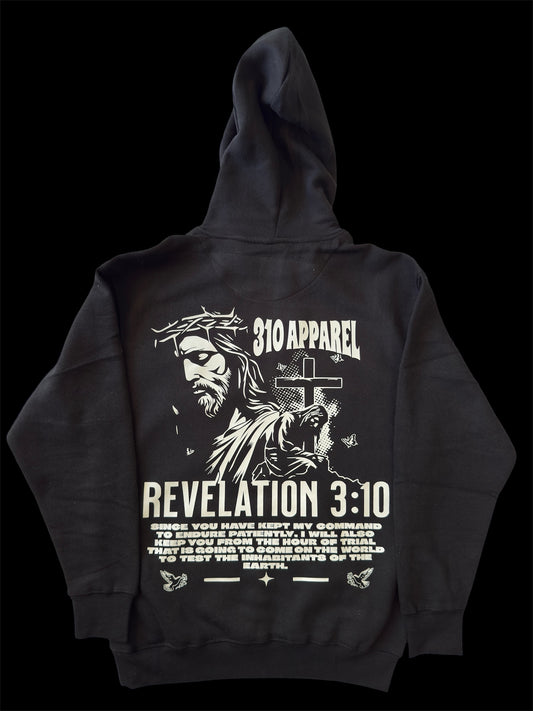 Revelation 310